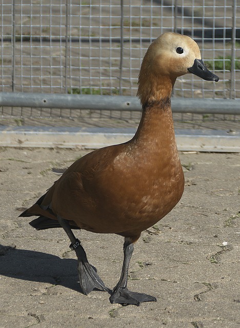 航天城